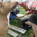 ���� ��������, �����-���������, 51 ��� - ��������� 21 ������� 2019 � ������ ���� ����������