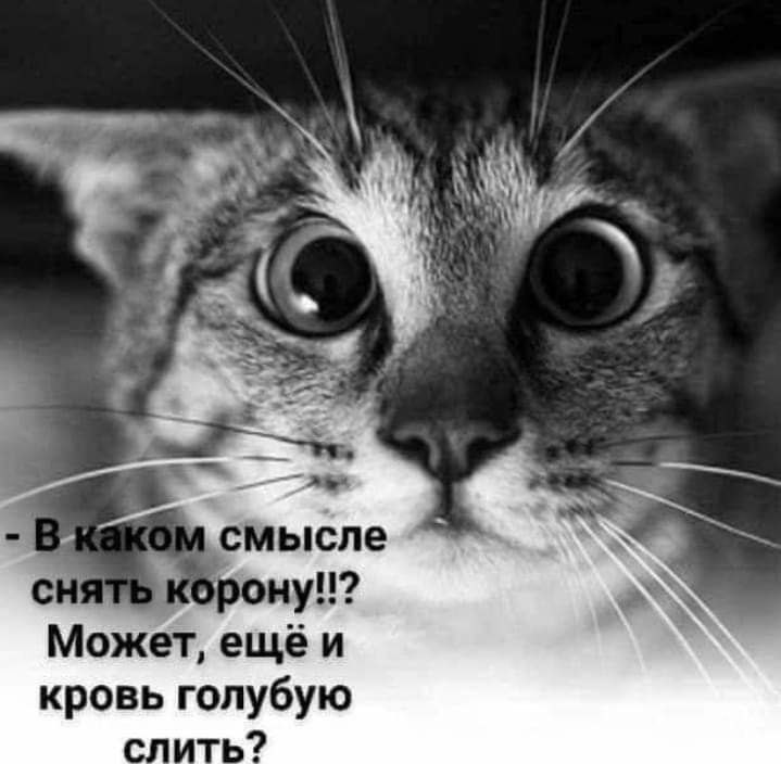 Все же воскресение.... Можно позволить и "наполеоновские" тайные желания....)))).ХОЧУ В ...