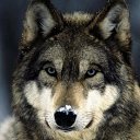 ���� �_�_�_�_�_�_�_�, �����, 48 ��� - ��������� 22 ���� 2019 � ������ ���� ����������