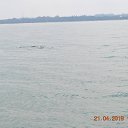 ���� Aru, �������� - ��������� 29 ������ 2019 � ������ �Goa, India�