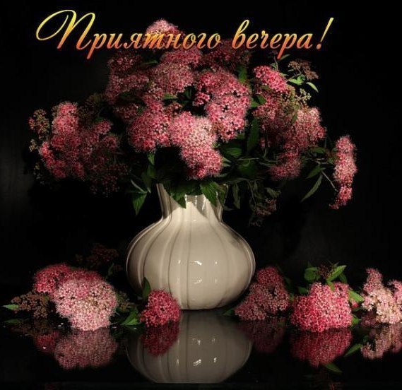   ,    . - 6  2019  18:02