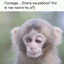 ���� D, ������������, 42 ���� - ��������� 31 ��� 2019 � ������ ������ ��������