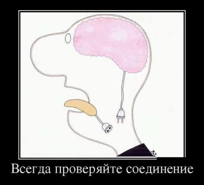 ������� - 21 ������ 2019 � 19:35