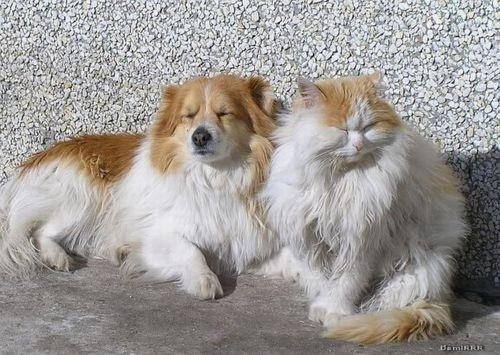 Мы с тобой одной крови - ты и я - 3