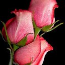 ���� Lydia-m, ��������, 58 ��� - ��������� 1 ������ 2019 � ������ ���� ����������