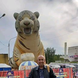 ���� ������, �������, 69 ��� - ��������� 20 �������� 2019