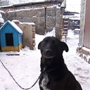 ���� ����, ������, 70 ��� - ��������� 11 ������� 2019 � ������ ���� ����������