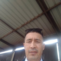 ������, ������, 49 ���