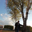 ���� �������, �����������, 41 ��� - ��������� 24 ��� 2019 � ������ ���� ����������