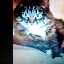 ���� ������, ������, 69 ��� - ��������� 23 ���� 2019 � ������ ���� ����������