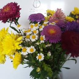 ���� ������, �������, 45 ��� - ��������� 3 ������ 2019