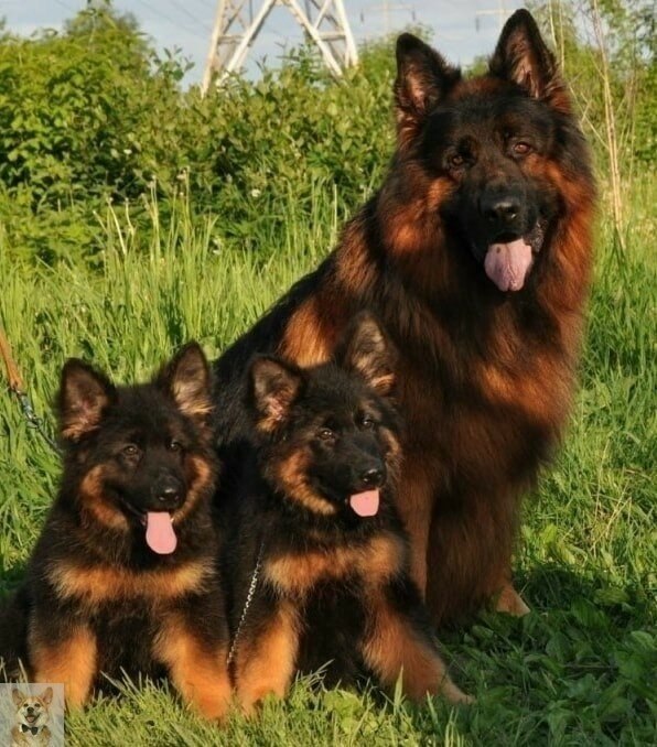 Капельки радости! - 3 декабря 2019 в 16:24