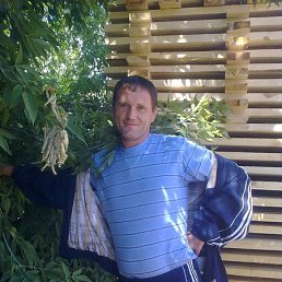 ������, �������, 50 ���