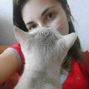  ,  , 36  -  10  2019    