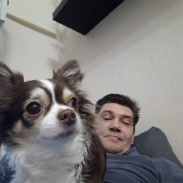 �����, �����-���������, 57 ���