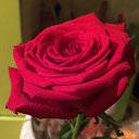 ���� ����, ���������, 51 ��� - ��������� 1 ���� 2019 � ������ ���� ����������