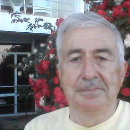 ����, ����, 73 ����