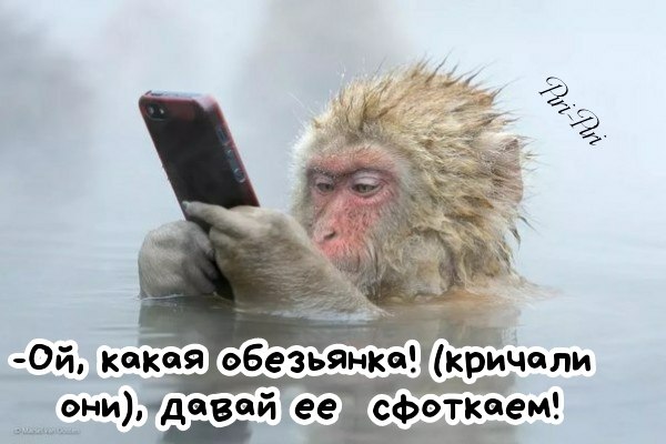 �� �������� - 23 ������� 2019 � 21:18