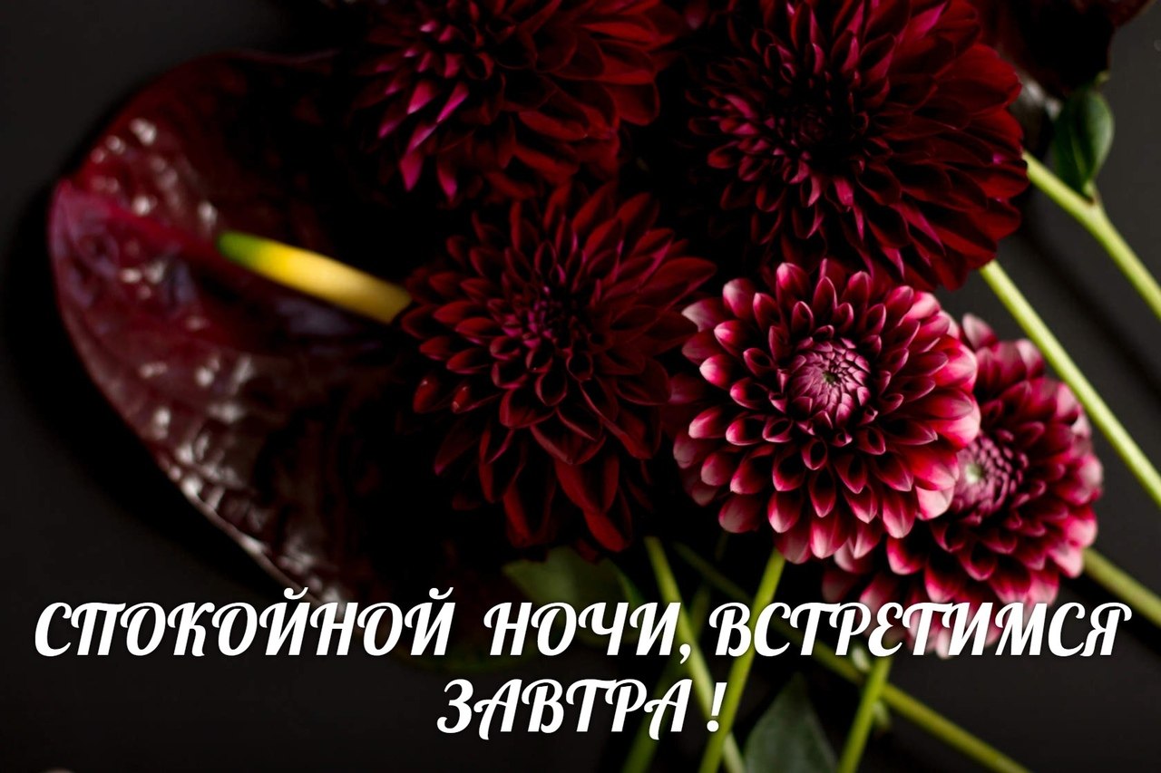   ,    . - 11  2019  21:02