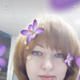 �����, ������, 50 ���