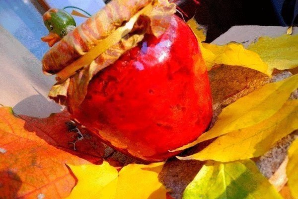 СВЕКОЛЬНЫЙ САЛАТ С ЯБЛОКАМИ.Продолжаем заготовки на зиму. Предлагаю Вашему вниманию очень вкусный ...