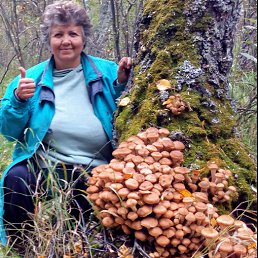 �����, ��������, 63 ����