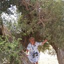 ���� ����, ��������, 60 ��� - ��������� 6 ������� 2019 � ������ ���� ����������