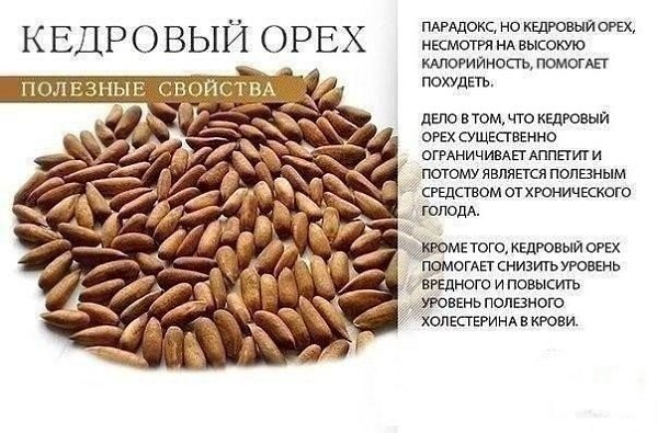 Немного о пользе сухофруктов и орехов. А какие ваши любимые? #советы@ican - 5