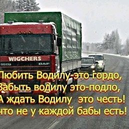 ���� ����, �����-��������, 41 ��� - ��������� 18 ���� 2019