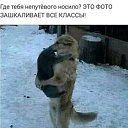 ���� ���������, �������������, 56 ��� - ��������� 14 ������� 2019 � ������ ���� ����������