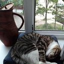 ���� ���, �������� - ��������� 11 ������� 2019 � ������ ���� ����������