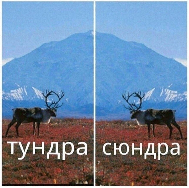 ,       - 5