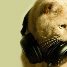 ���� �������, �������, 47 ��� - ��������� 29 ������ 2019