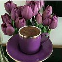 ���� �����, ���������, 58 ��� - ��������� 25 ������ 2019 � ������ ������ ��������