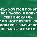 ���� ����, ������, 48 ��� - ��������� 11 �������� 2019 � ������ ������ ��������