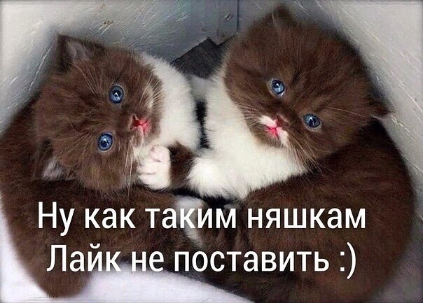 ? ,  ! - 11  2019  19:01