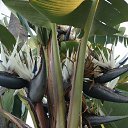 ���� ��������, �������, 74 ���� - ��������� 8 �������� 2019 � ������ ��������.�.�������.�