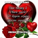 ���� �������� �����, ����� - ��������� 15 ���� 2019 � ������ ���� ����������