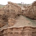 ���� ���������, ������� - ��������� 31 ������� 2019 � ������ ���� ����������