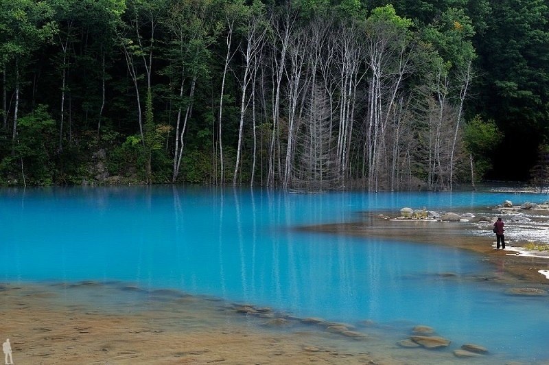    (Blue Pond Biei)    ,    ... - 7