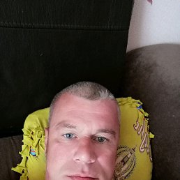 ����, �������, 46 ���