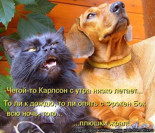 Убрал из подписи в служебной почте фразу «с уважением». Теперь любое мое письмо коллегам и ...
