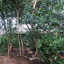 ���� ����, �����������, 50 ��� - ��������� 6 ������ 2019 � ������ ������������� ���