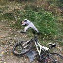 ���� ���������, ����-���������, 41 ��� - ��������� 5 ������� 2019 � ������ ���� ����������