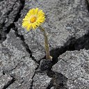  ••,  -  11  2019       ...