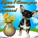 ���� ����, �������, 58 ��� - ��������� 29 ������� 2019