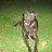 ���� �������, ��������, 45 ��� - ��������� 22 ��� 2019