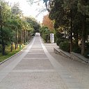 , ,03.11.19.8.35.   , 2019