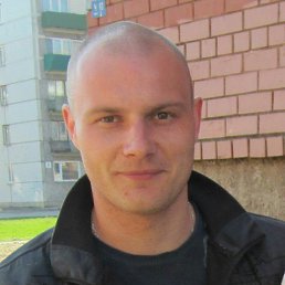 Vit, ������, 42 ����