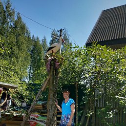 �����, ��������, 62 ����